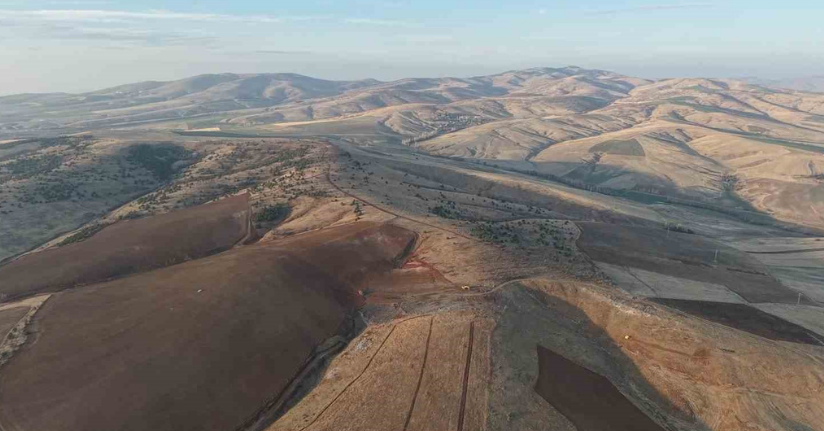 Yüzlerce ağacın kesilmesine vatandaşlardan tepki: 