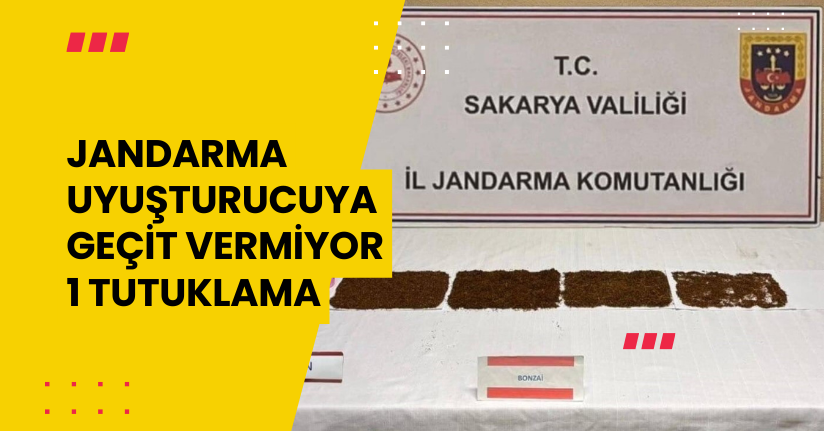 Jandarma uyuşturucuya geçit vermiyor: 1 tutuklama