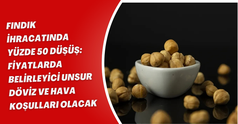 Fındık ihracatında yüzde 50 düşüş: Fiyatlarda belirleyici unsur döviz ve hava koşulları olacak