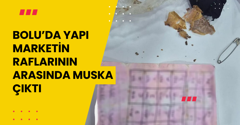 Bolu’da yapı marketin raflarının arasında muska çıktı