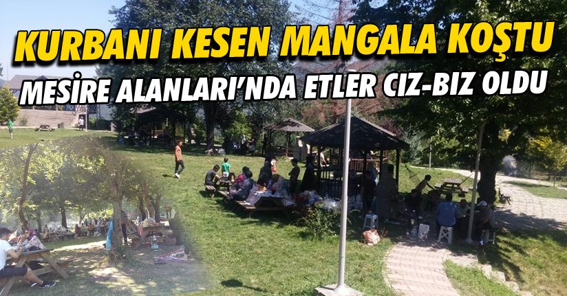 Tatilciler Düzce’nin mesire alanlarına akın etti