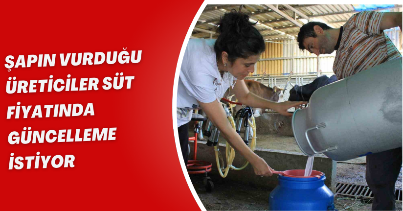 Şapın vurduğu üreticiler süt fiyatında güncelleme istiyor
