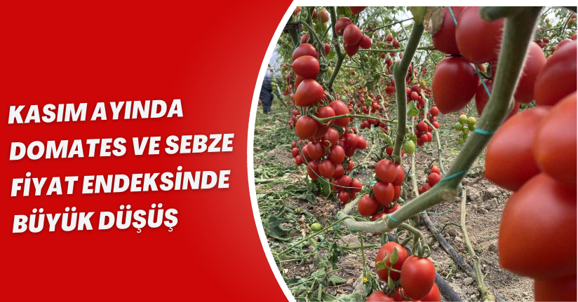 Kasım ayında domates ve sebze fiyat endeksinde büyük düşüş