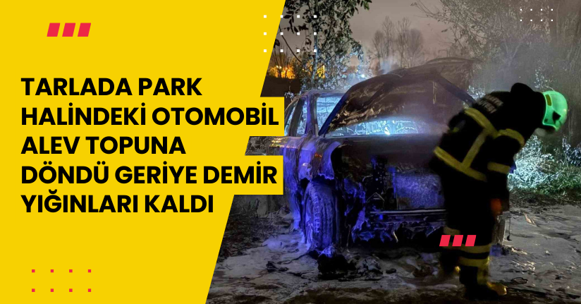 Tarlada park halindeki otomobil alev topuna döndü, geriye demir yığınları kaldı
