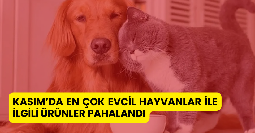 Kasım’da en çok evcil hayvanlar ile ilgili ürünler pahalandı