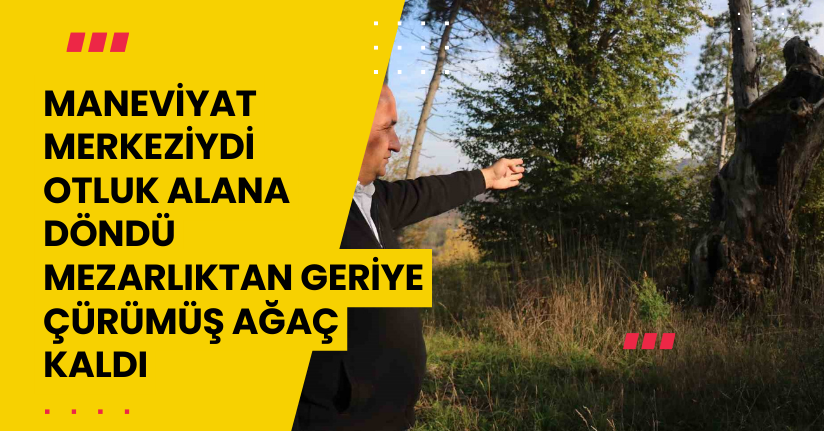 Maneviyat merkeziydi, otluk alana döndü: Mezarlıktan geriye çürümüş ağaç kaldı