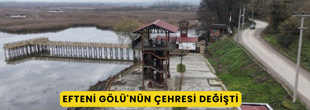Efteni Gölü'nün Çehresi Değişti