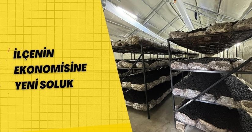 İlçenin ekonomisine yeni soluk