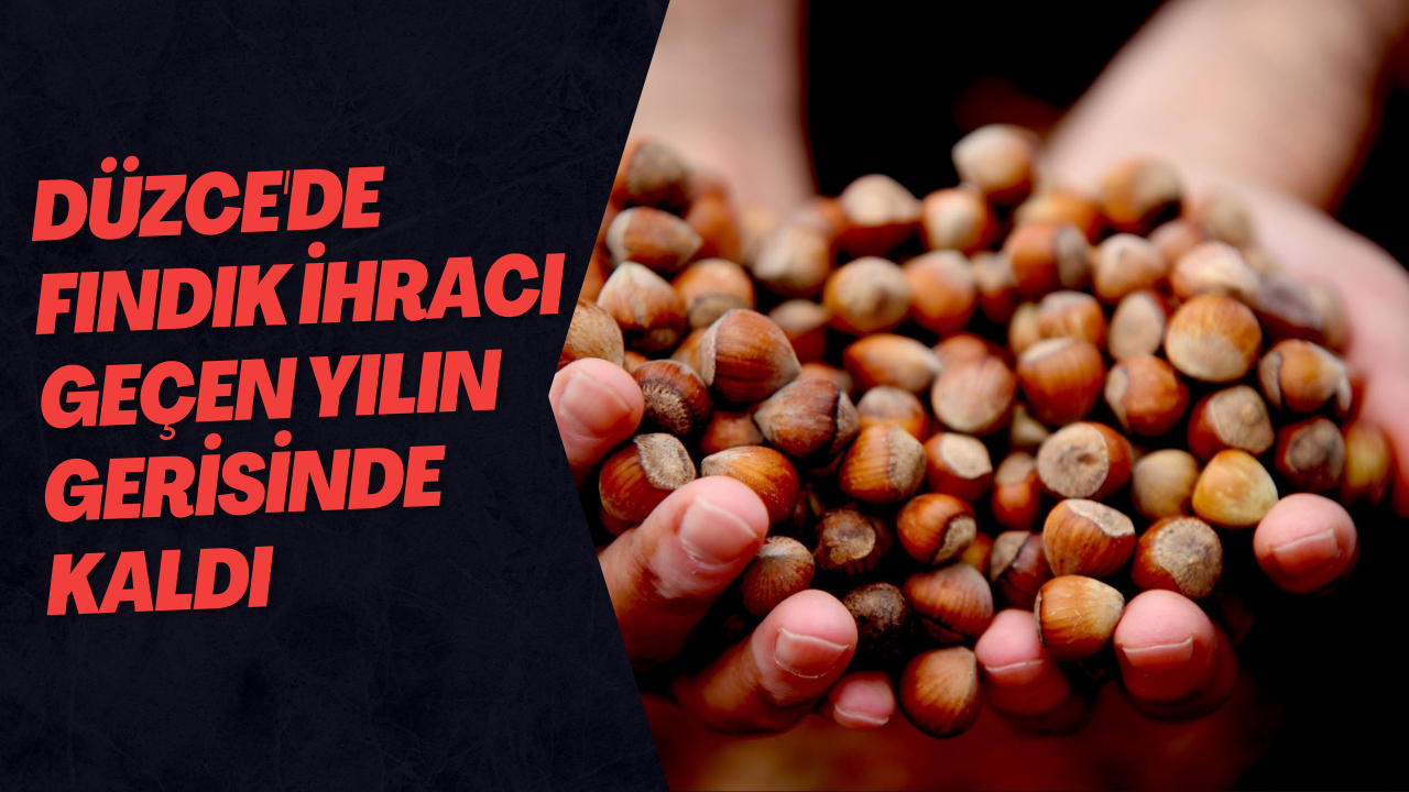 Düzce'de Fındık İhracı Geçen Yılın Gerisinde Kaldı