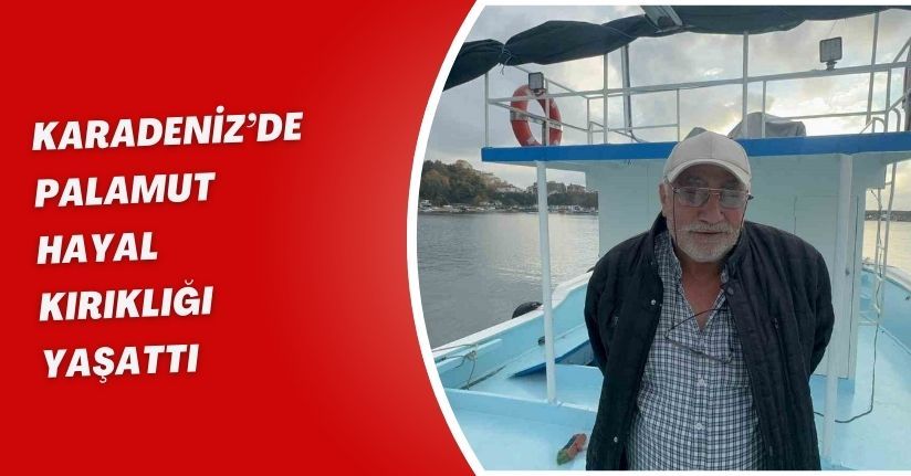 Karadeniz’de palamut hayal kırıklığı yaşattı