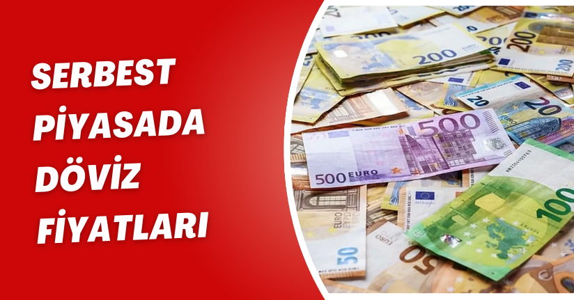 Serbest piyasada döviz fiyatları