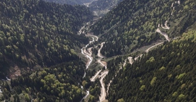 Karadeniz'de yağış değişimi alarmı; orman varlığı gençleştiriliyor