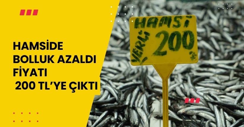 Hamside bolluk azaldı, fiyatı 200 TL’ye çıktı