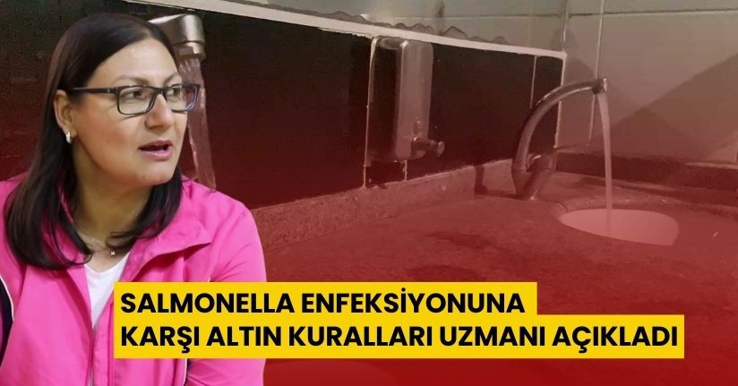 Salmonella enfeksiyonuna karşı altın kuralları uzmanı açıkladı
