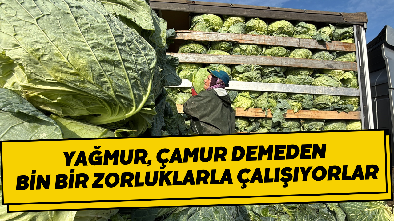 Yağmur, Çamur Demeden Bin Bir Zorluklarla Çalışıyorlar