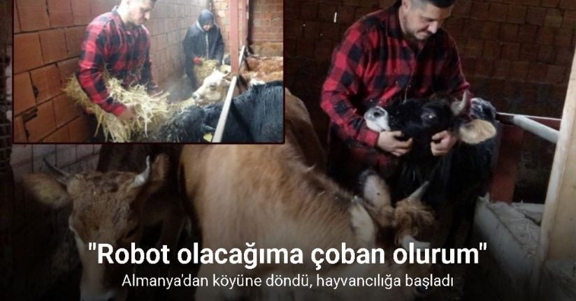 Almanya’dan köyüne döndü, çobanlık yapmaya başladı