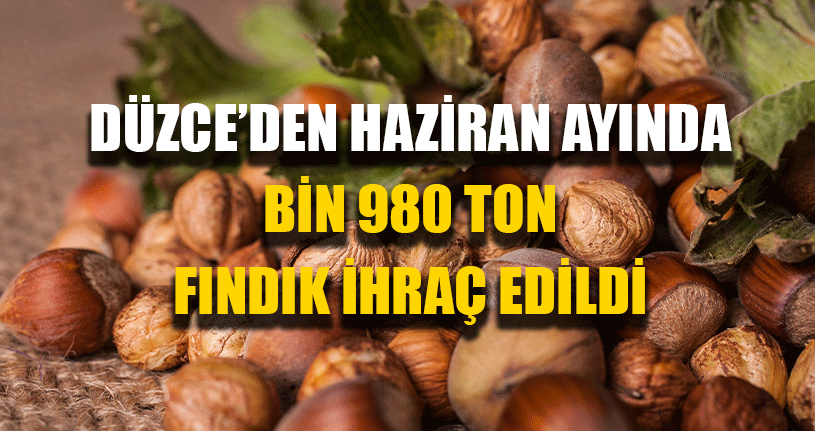 Düzce Fındığı Yurt Dışına Gönderilmeye Devam Ediyor