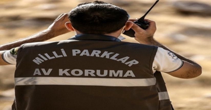 Yaban keçisi vuran avcıya 953 bin TL ceza