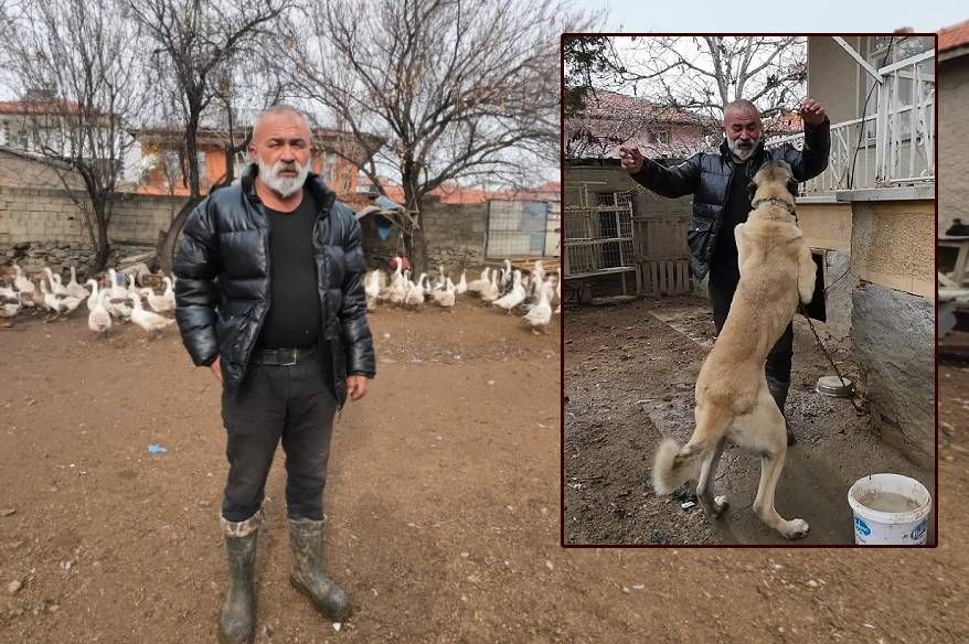 İstanbul’dan memleketi Yozgat’a döndü, binlerce hayvan üreterek geçimini sağlıyor