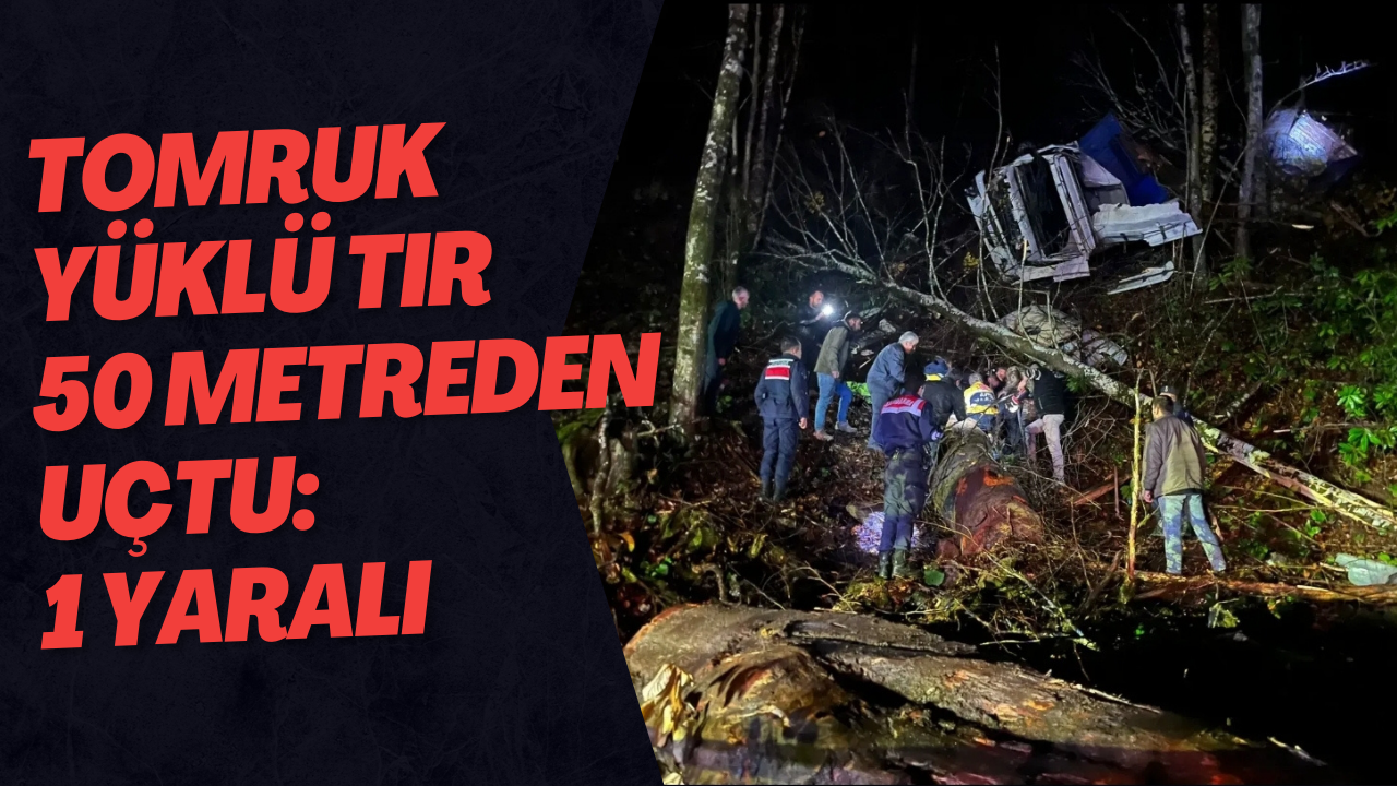Tomruk Yüklü Tır 50 Metreden Uçtu: 1 Yaralı