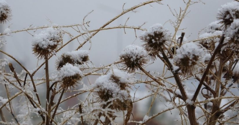 Ardahan eksi 15 dereceyle buz kesti