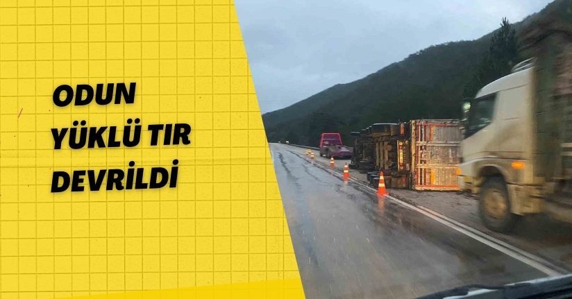 Odun yüklü tır devrildi