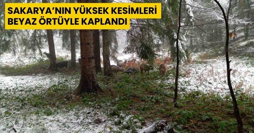 Sakarya’nın yüksek kesimleri beyaz örtüyle kaplandı