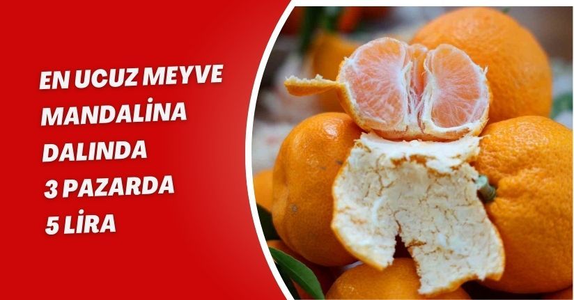 En ucuz meyve mandalina: Dalında 3, pazarda 5 lira