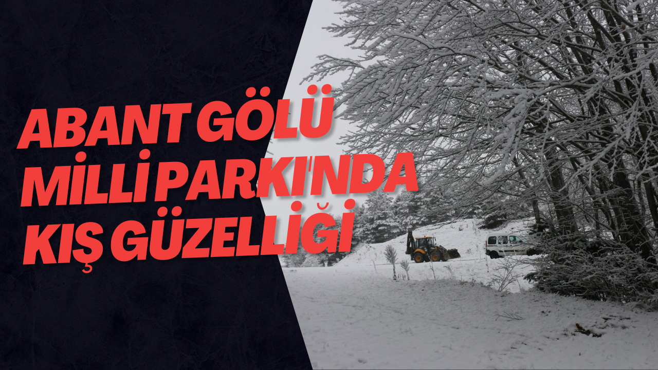 Abant Gölü Milli Parkı'nda Kış Güzelliği