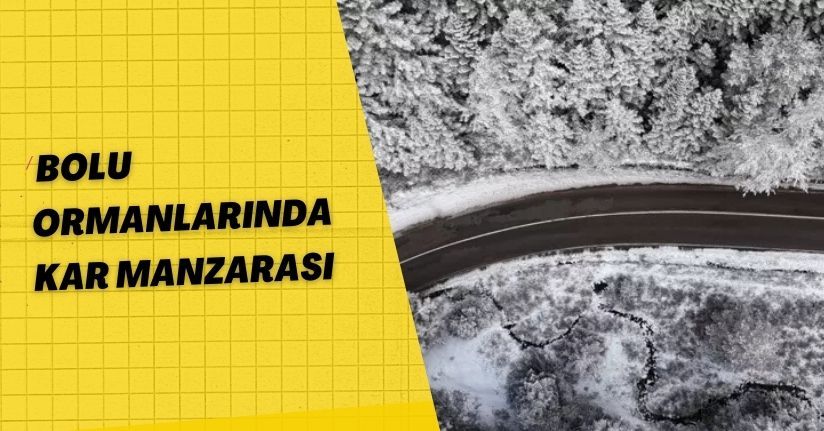 Bolu Ormanlarında Kar Manzarası