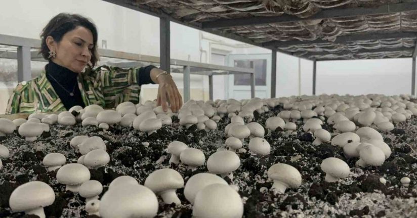 Hem eğitim görüp hem üretiyorlar