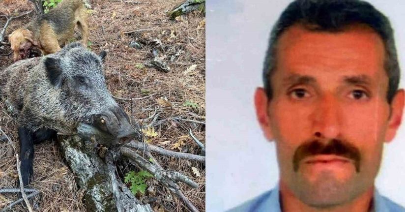 Domuz saldırısı sonucu hayatını kaybetti