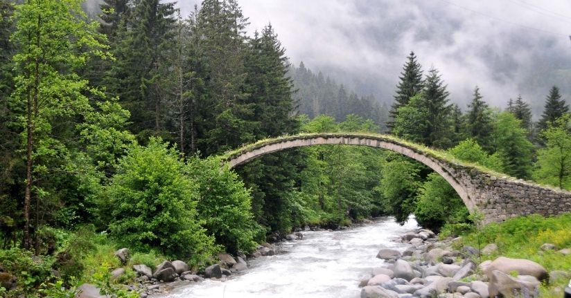İklim değişikliğiyle mücadelede en etkin silah ormanlar