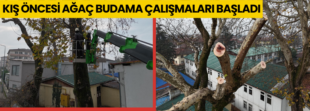 Kış Öncesi Ağaç Budama Çalışmaları Başladı