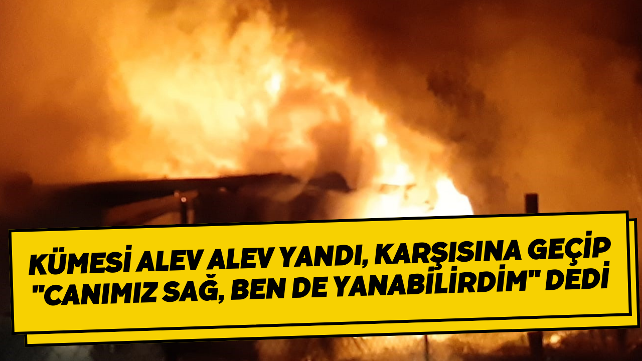 Kümesi Alev Alev Yandı, Karşısına Geçip 