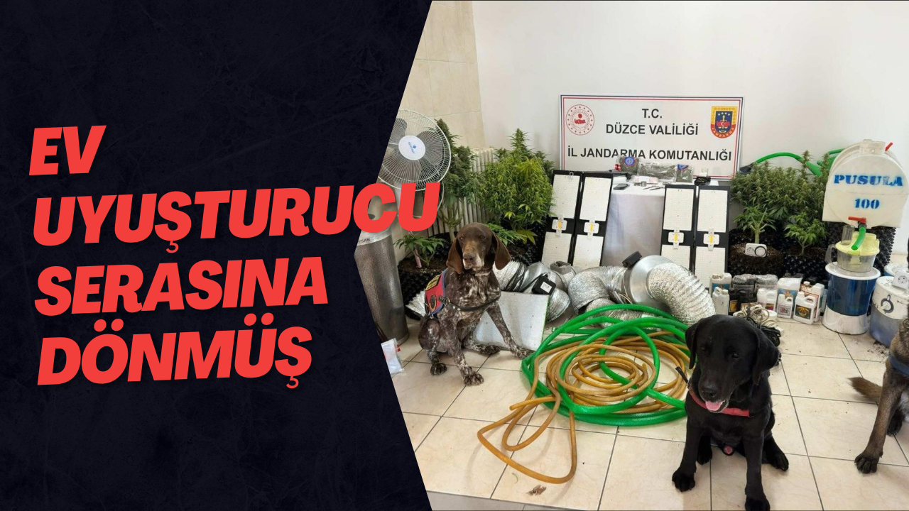 Ev Uyuşturucu Serasına Dönmüş