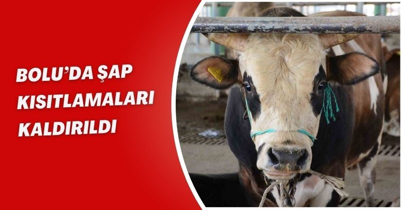 Bolu’da şap kısıtlamaları kaldırıldı