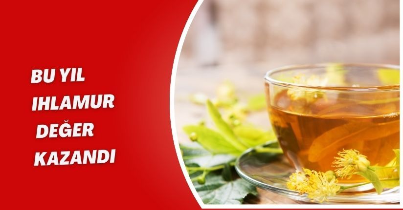 Bu yıl ıhlamur değer kazandı