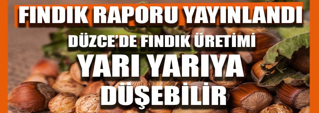 Fındık Toplamada İmece Usulüne Dönülebilir 