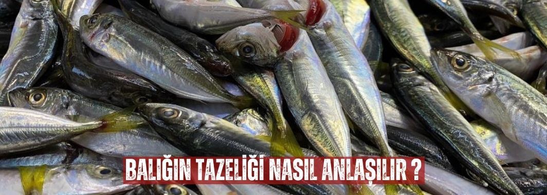 Doğru Bilinen Yanlışı Uzmanı Açıkladı