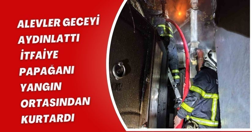 Alevler geceyi aydınlattı, itfaiye papağanı yangın ortasından kurtardı