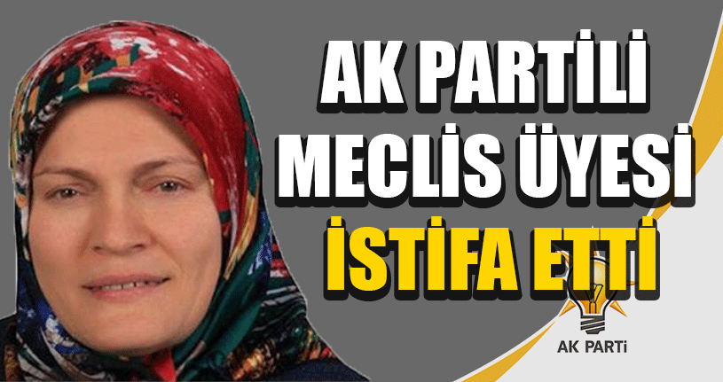 AK Partili Meclis Üyesi İstifa Etti