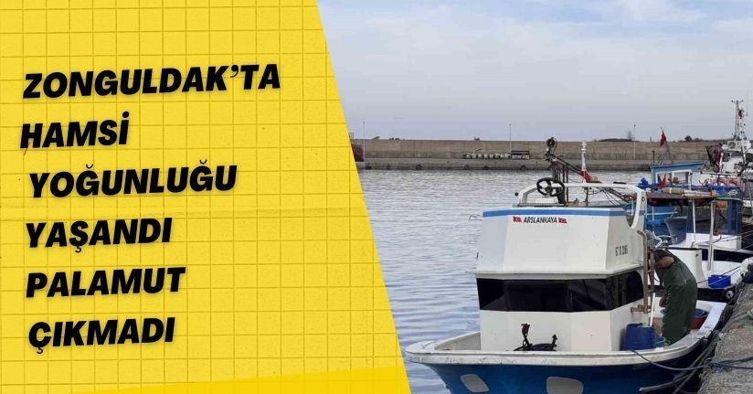 Zonguldak’ta hamsi yoğunluğu yaşandı, palamut çıkmadı