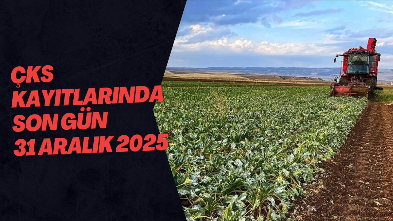 ÇKS Kayıtlarında Son Gün 31 Aralık 2025