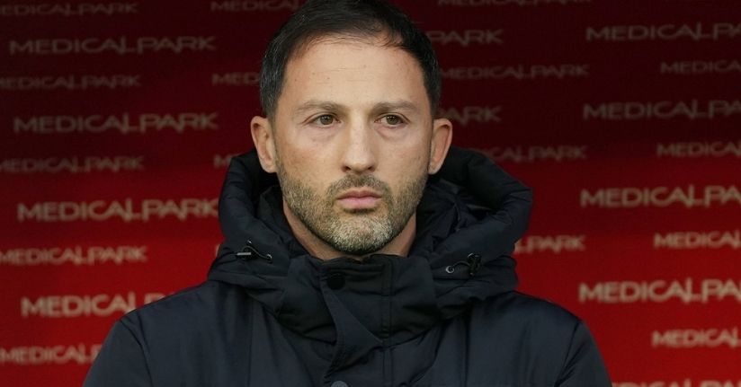 Domenico Tedesco: 