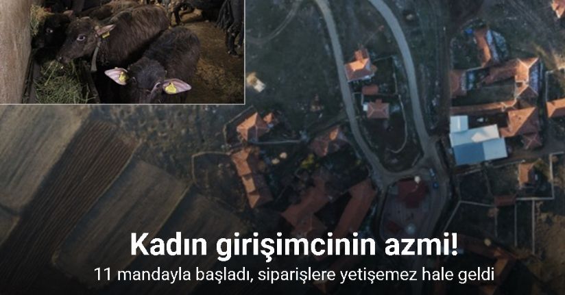 Kadın girişimcinin azmi: 11 mandayla başladı, siparişlere yetişemez hale geldi