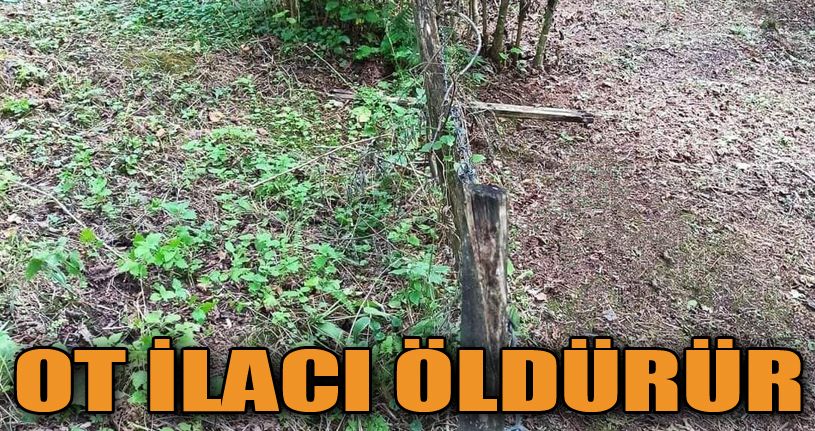 Ot İlacı Öldürür