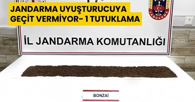 Jandarma uyuşturucuya geçit vermiyor: 1 tutuklama