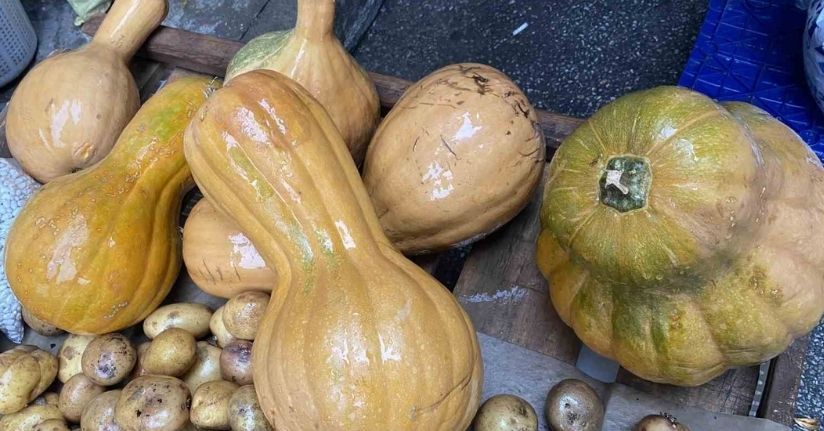 Kendisi ayrı, çekirdeği ayrı şifa kaynağı