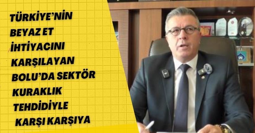 Türkiye’nin beyaz et ihtiyacını karşılayan Bolu’da, sektör kuraklık tehdidiyle karşı karşıyaTürkiye’nin beyaz et ihtiyacını karşılayan Bolu’da, sektör kuraklık tehdidiyle karşı karşıya